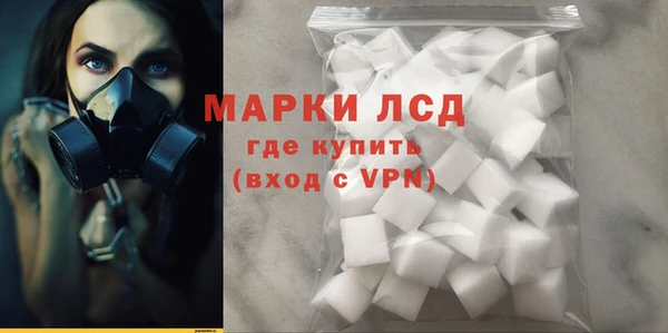 стафф Алзамай