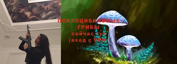 молекула духа Алексин