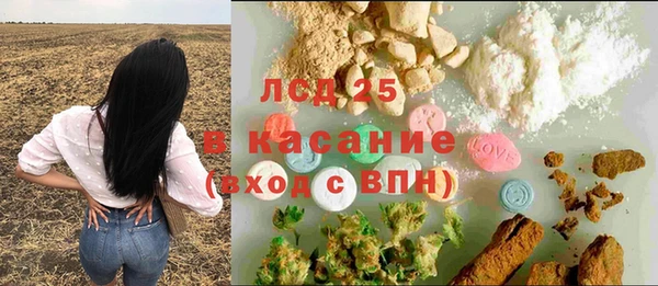 гашик Россошь