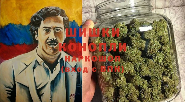 молекула духа Алексин