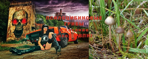 молекула духа Алексин