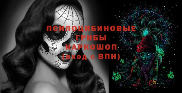 гашик Россошь