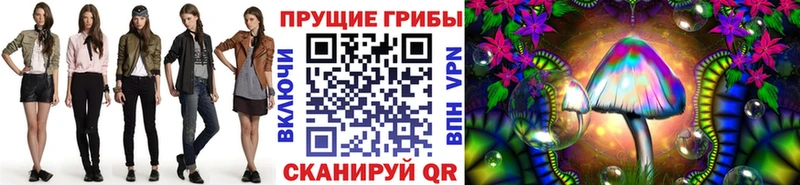 наркотики  Игарка  Галлюциногенные грибы Psilocybine cubensis 