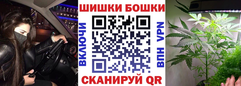 Бошки Шишки планчик  Игарка 